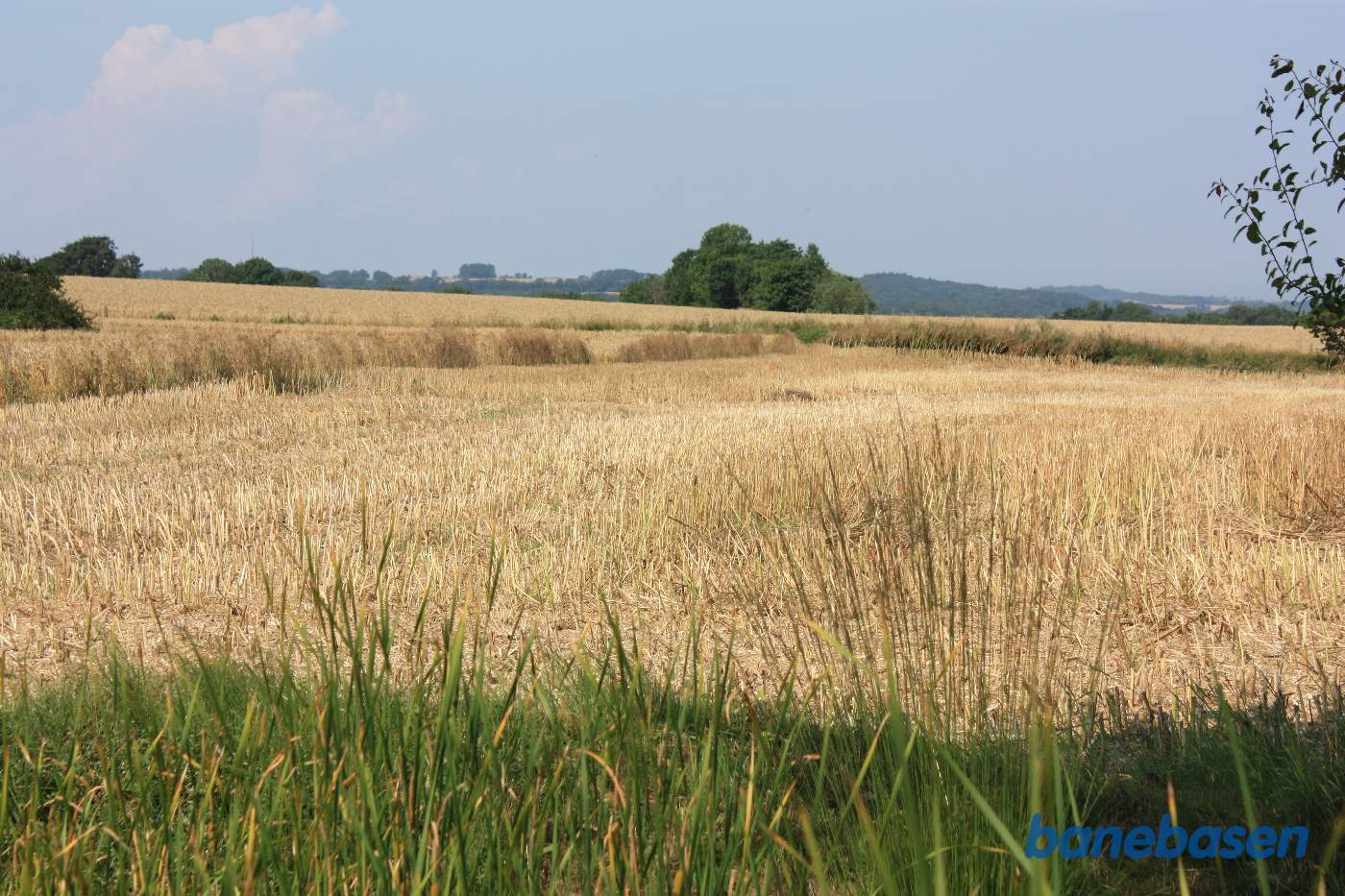 Vi står på stationsområdet og kigger ud over markerne i retning mod Sandvig. Banen løb inde i trærækken midt i billedet Vi står på stationsområdet og kigger ud over markerne i retning mod Sandvig. Banen løb inde i trærækken midt i billedet
