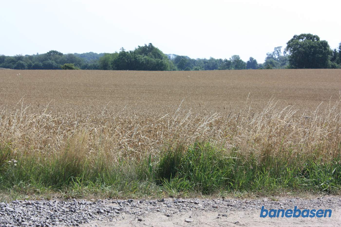 Vi står på Røvej og kigger mod Rønne Vi står på Røvej og kigger mod Rønne