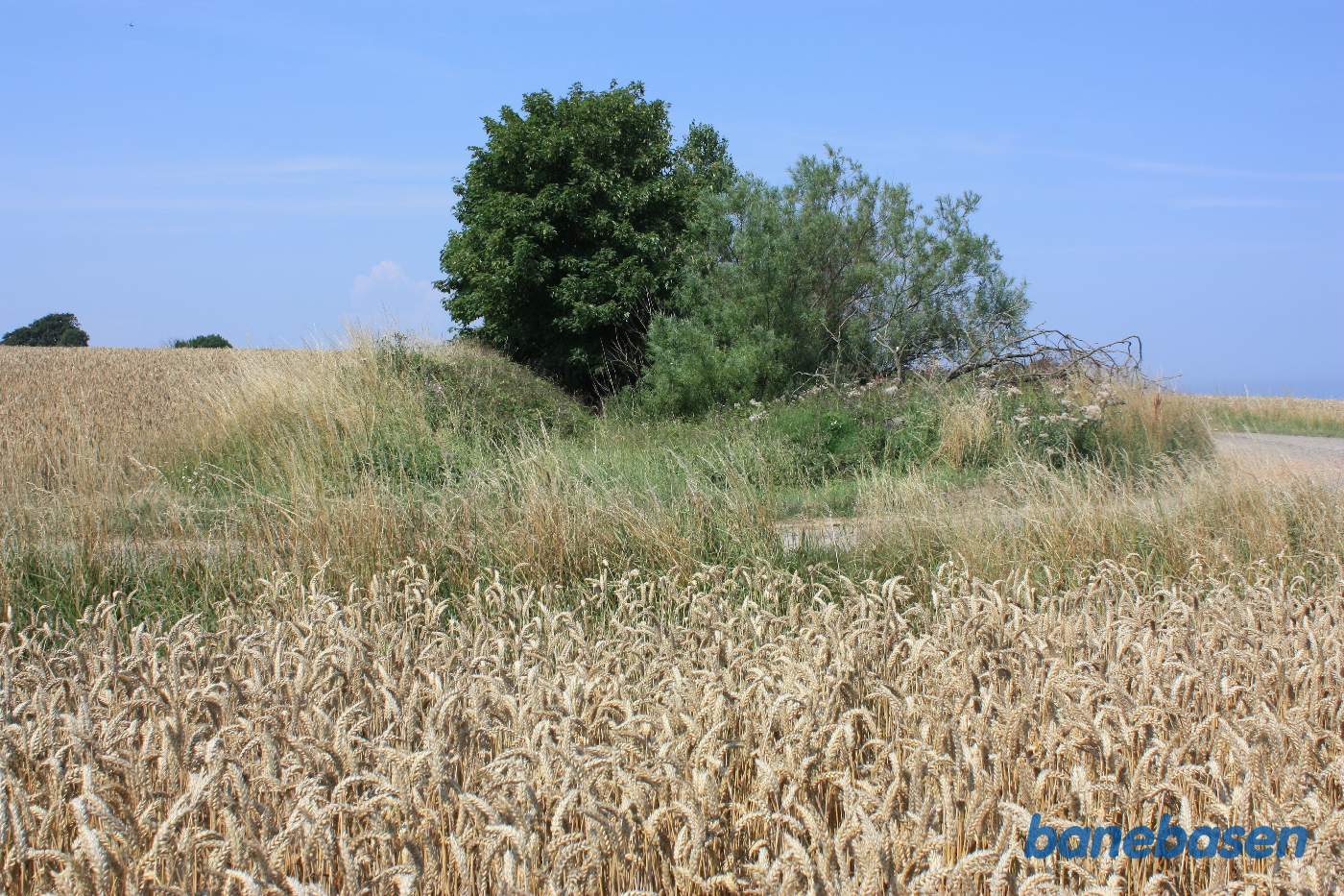 Vi står på Røvej og kigger mod Sandvig. Banens trace ind under træerne ses tydeligt Vi står på Røvej og kigger mod Sandvig. Banens trace ind under træerne ses tydeligt