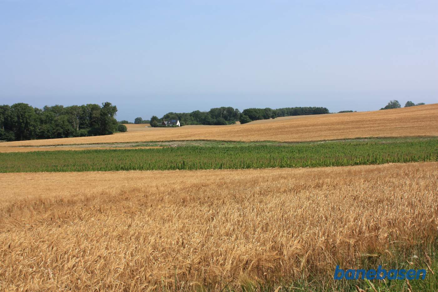 Vi står på marken mellem Risegård og Tejn Bjergegård. Flot udsigt fra toget ud over Østersøen. Sandvig til venstre og Rønne til højre