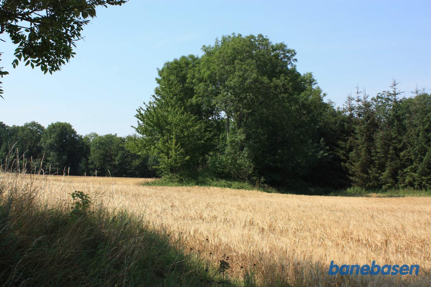Vi er bagved Tejn Bjergegård og kigger mod Sandvig. Her ses raster af banedæmningen lige midt i billedet Vi er bagved Tejn Bjergegård og kigger mod Sandvig. Her ses raster af banedæmningen lige midt i billedet
