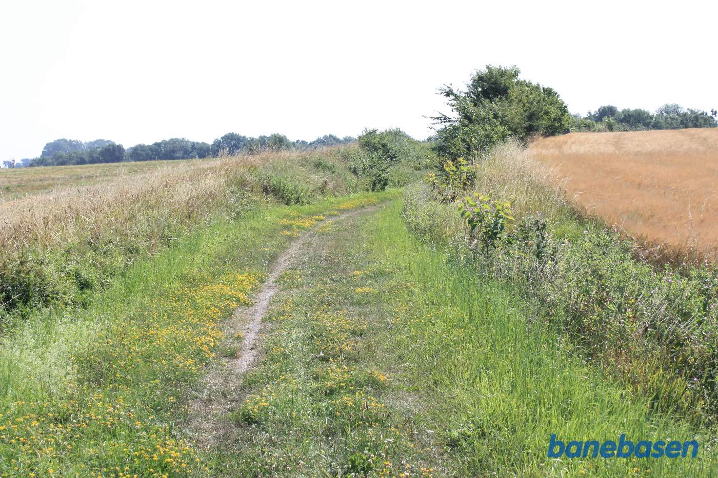 Vi er på et lille stykke banesti ind mod Tejn station. Vi kigger mod Rønne
