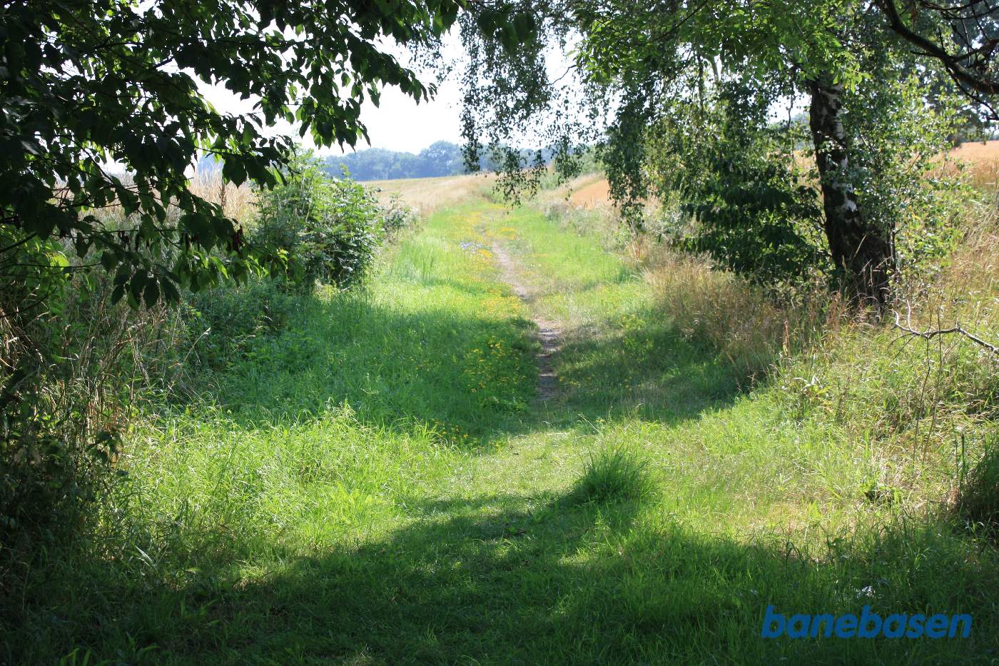 Vi er på et lille stykke banesti ind mod Tejn station. Vi kigger mod Rønne Vi er på et lille stykke banesti ind mod Tejn station. Vi kigger mod Rønne