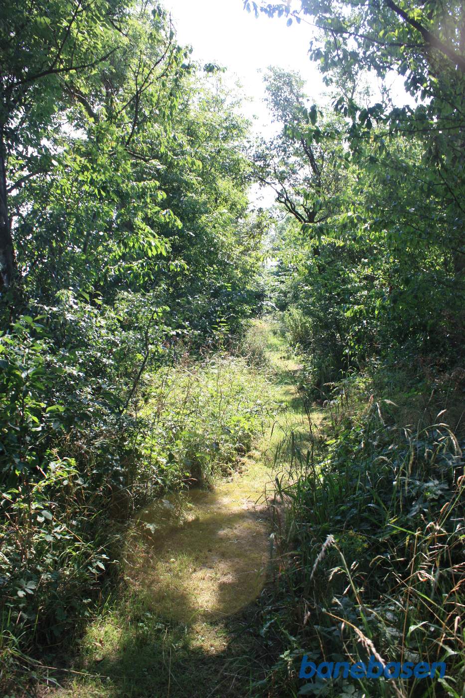 Vi er inde på den private natursti og kigger mod Rønne. Ejeren oplyste, at tracéen var urørt de steder, hvor 2 markejere stødte op til banen, mens de var pløjet væk, når banen gik over en fælles mark Vi er inde på den private natursti og kigger mod Rønne. Ejeren oplyste, at tracéen var urørt de steder, hvor 2 markejere stødte op til banen, mens de var pløjet væk, når banen gik over en fælles mark
