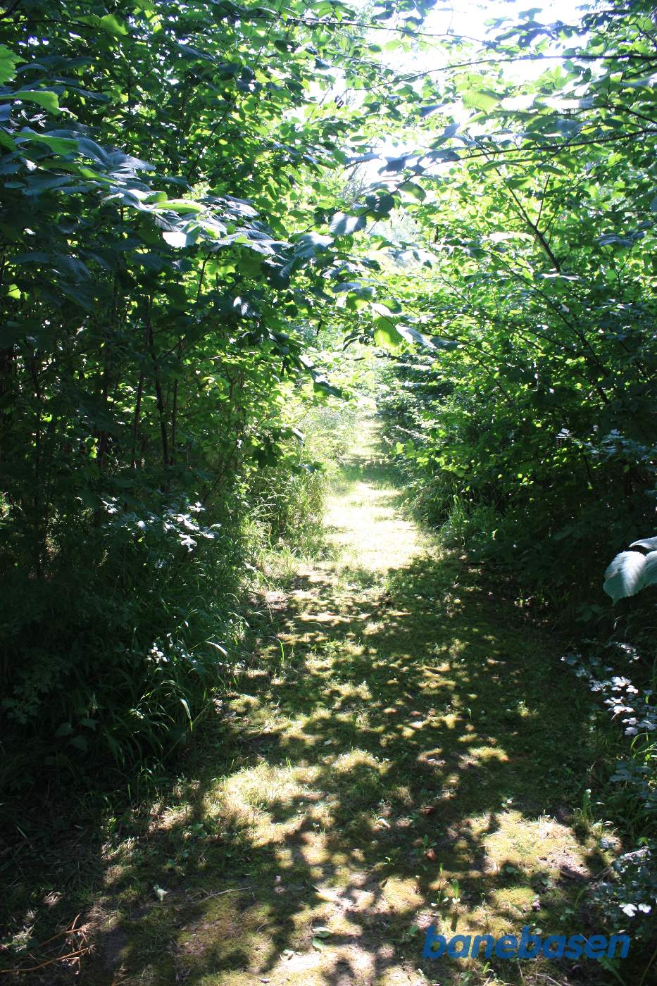 Vi er inde på den private natursti og kigger mod Rønne. Banens tracé er fuldstændig velbevaret om end tilgroet Vi er inde på den private natursti og kigger mod Rønne. Banens tracé er fuldstændig velbevaret om end tilgroet