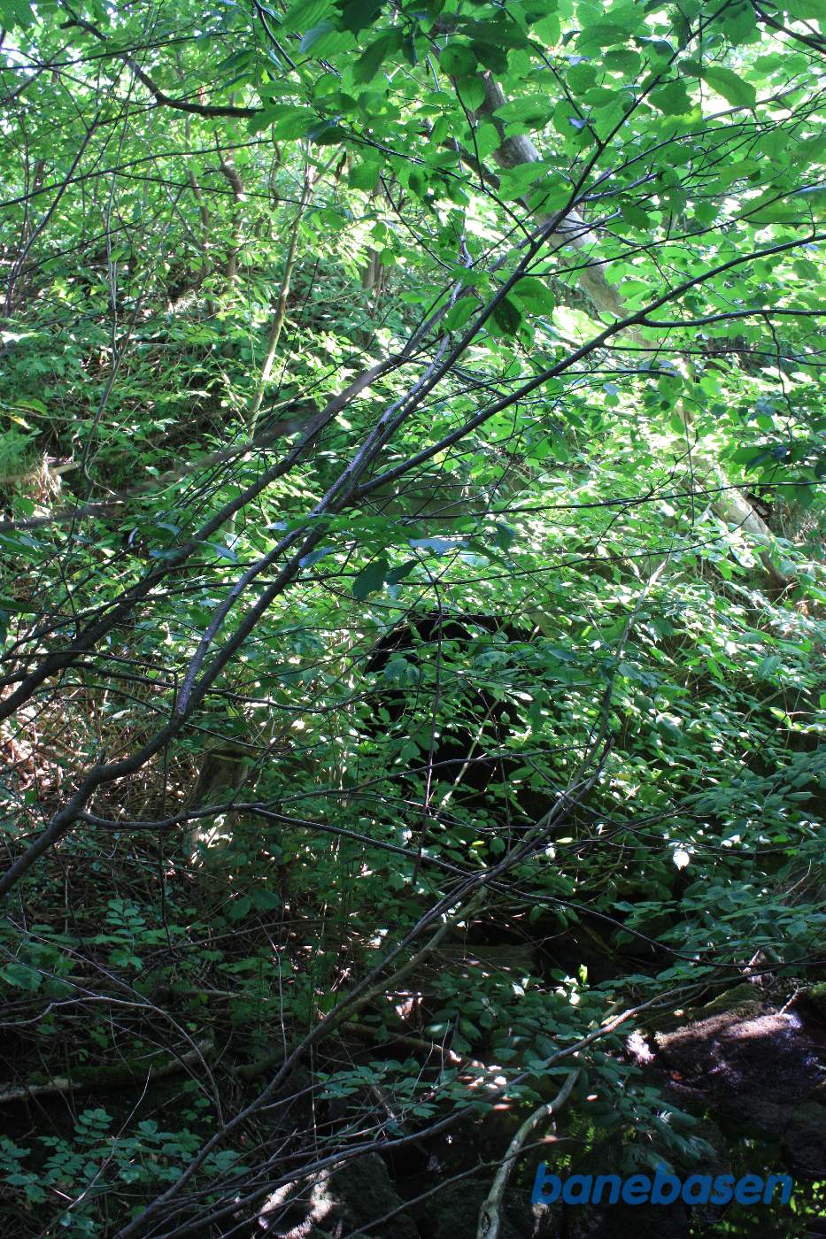 Broen over Møllebækken er godt tilgroet, men man kan lige ane røret under banen Broen over Møllebækken er godt tilgroet, men man kan lige ane røret under banen