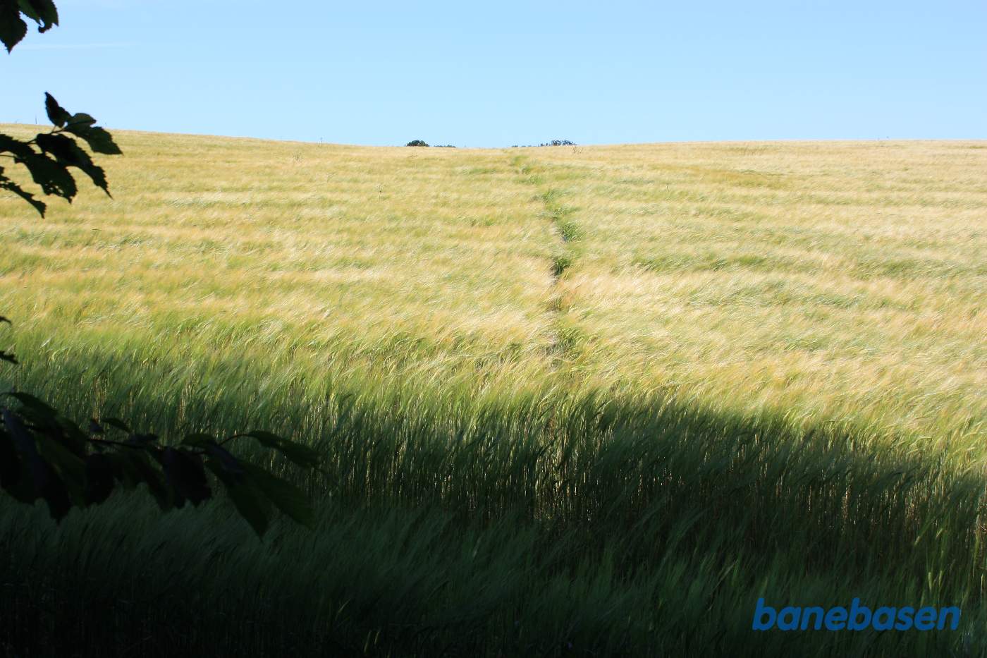Fra Møllebækken gik banen ud over marken i en dyb udgravning. Fotografens spor over marken viser, hvor banen har gået Fra Møllebækken gik banen ud over marken i en dyb udgravning. Fotografens spor over marken viser, hvor banen har gået