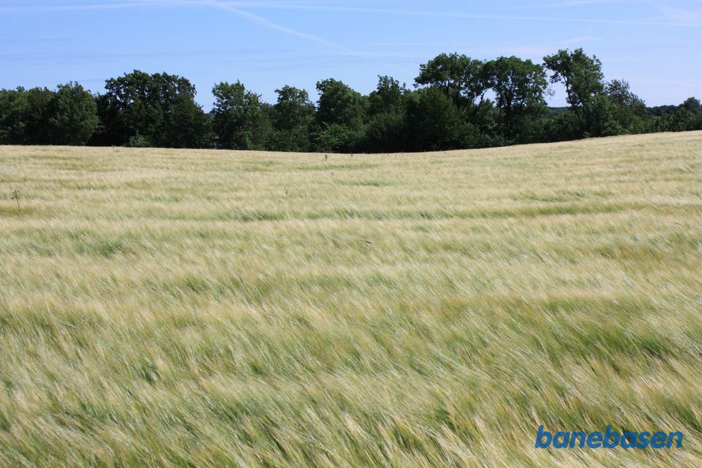 Vi står midt på marken, hvor den dybe udgravning er fyldt op, men kan stadig se hvor fordybningen var midt i billedet. Vi kigger mod Rønne, Møllebækken løber langs træerne Vi står midt på marken, hvor den dybe udgravning er fyldt op, men kan stadig se hvor fordybningen var midt i billedet. Vi kigger mod Rønne, Møllebækken løber langs træerne