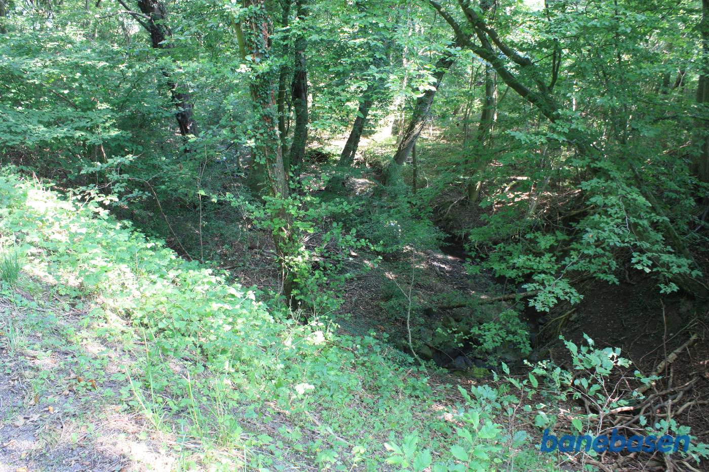 Vi står på banedæmningen og kigger ned på Bakkebækken