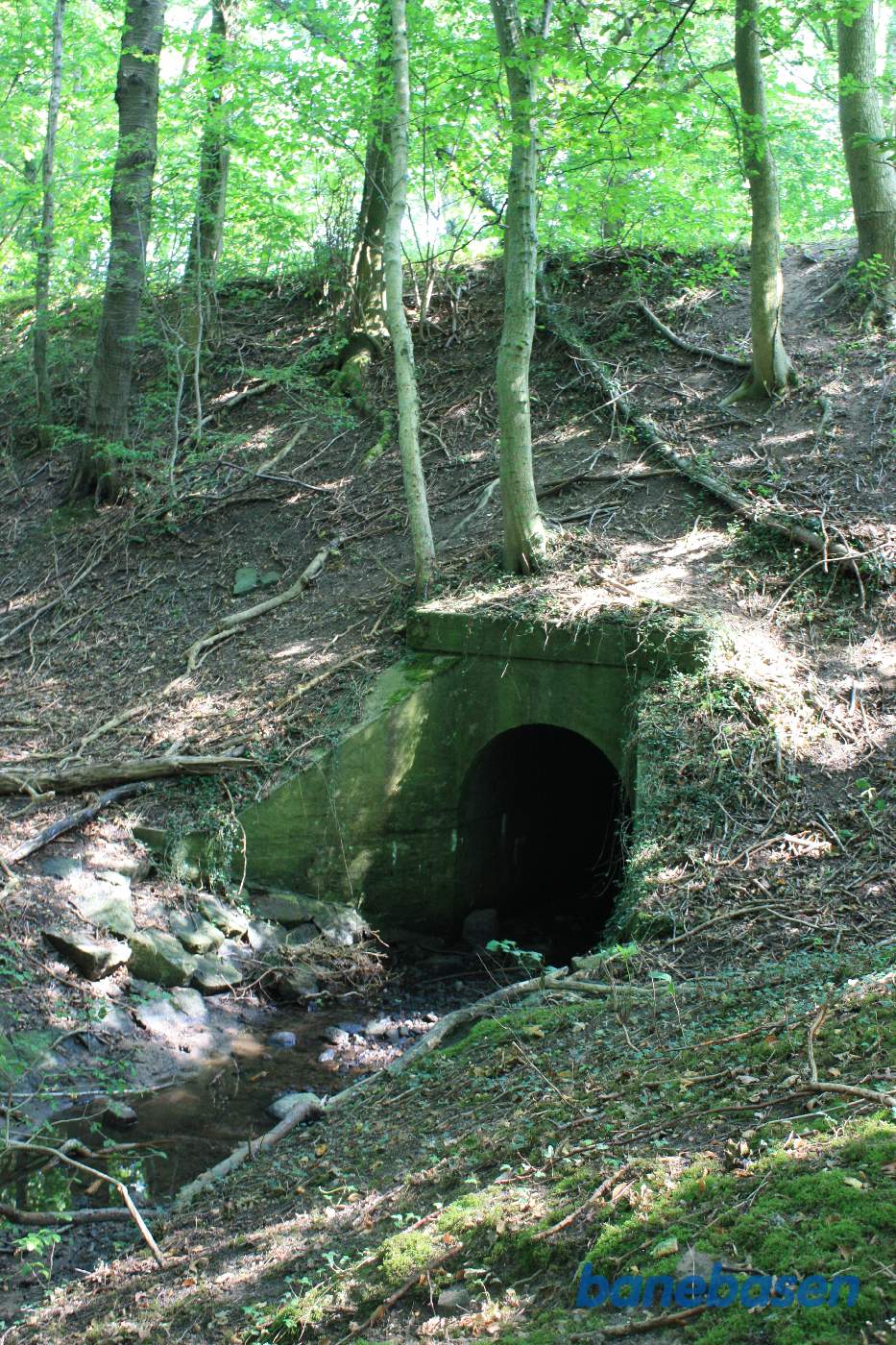 Vi står nede ved bækken og kigger på banedæmningen og det flotte rør ind under banedæmningen Vi står nede ved bækken og kigger på banedæmningen og det flotte rør ind under banedæmningen