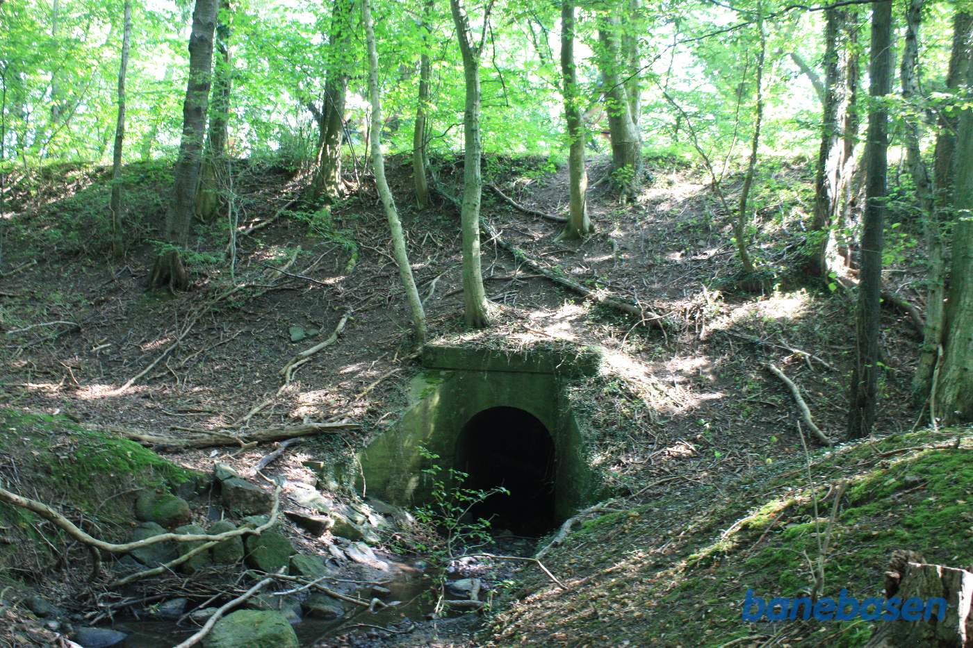 Vi står nede ved bækken og kigger på banedæmningen og det flotte rør ind under banedæmningen Vi står nede ved bækken og kigger på banedæmningen og det flotte rør ind under banedæmningen