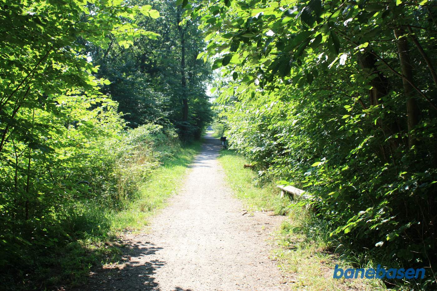 Banen krydser atter over en slugt der er godt tilgroet. Vi ser mod Rønne