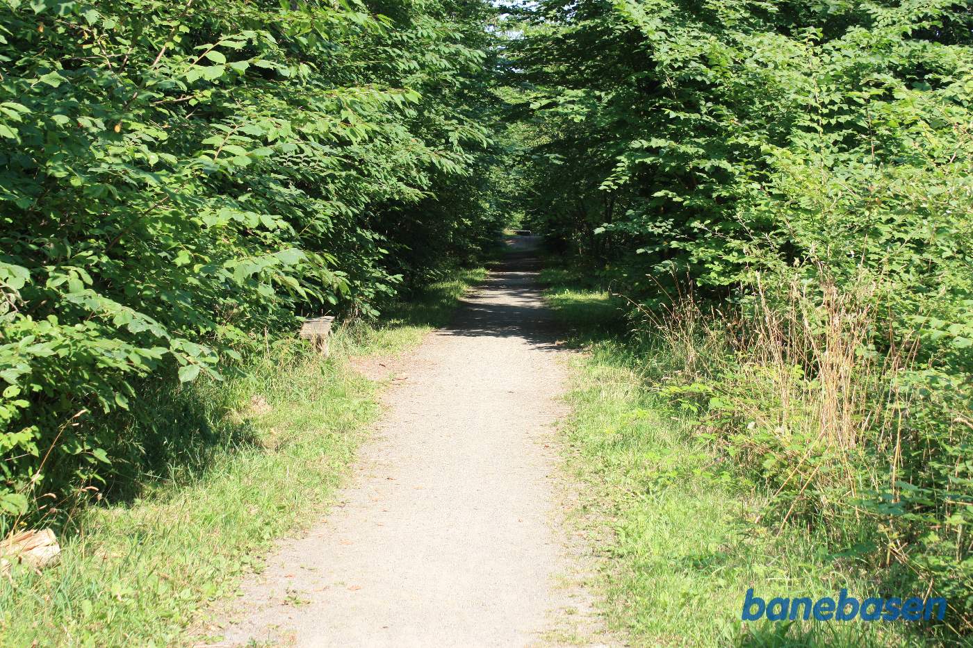 Banen krydser atter over en slugt der er godt tilgroet. Vi ser mod Sandvig Banen krydser atter over en slugt der er godt tilgroet. Vi ser mod Sandvig