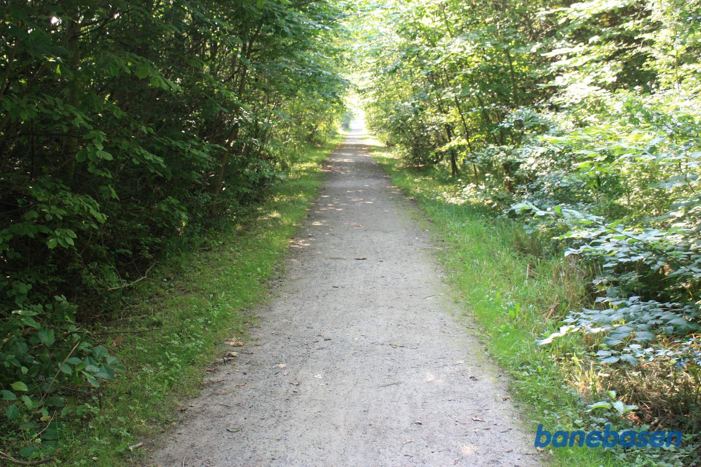 Vi er på banestien og kigger mod Rønne Vi er på banestien og kigger mod Rønne