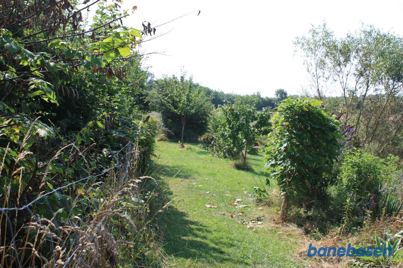 Vi står og kigger mod Rønne. Banen gik langs hegnet Vi står og kigger mod Rønne. Banen gik langs hegnet