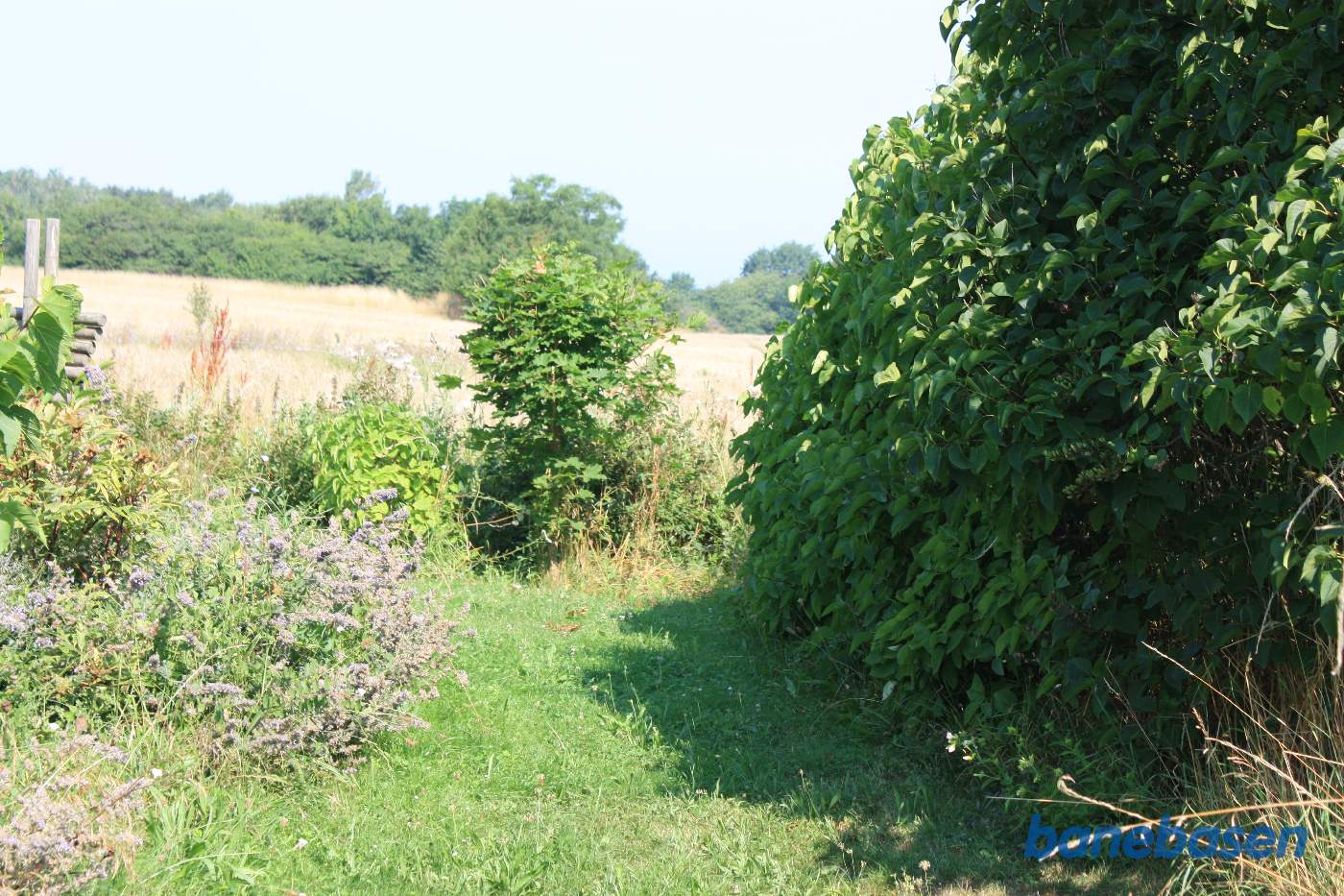 Vi står på trinbrættet og kigger mod Sandvig Vi står på trinbrættet og kigger mod Sandvig