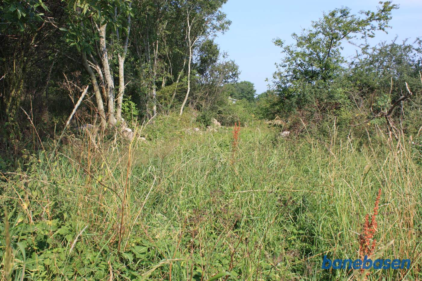Banen gik gennem hegnet og videre mod Sandvig Banen gik gennem hegnet og videre mod Sandvig