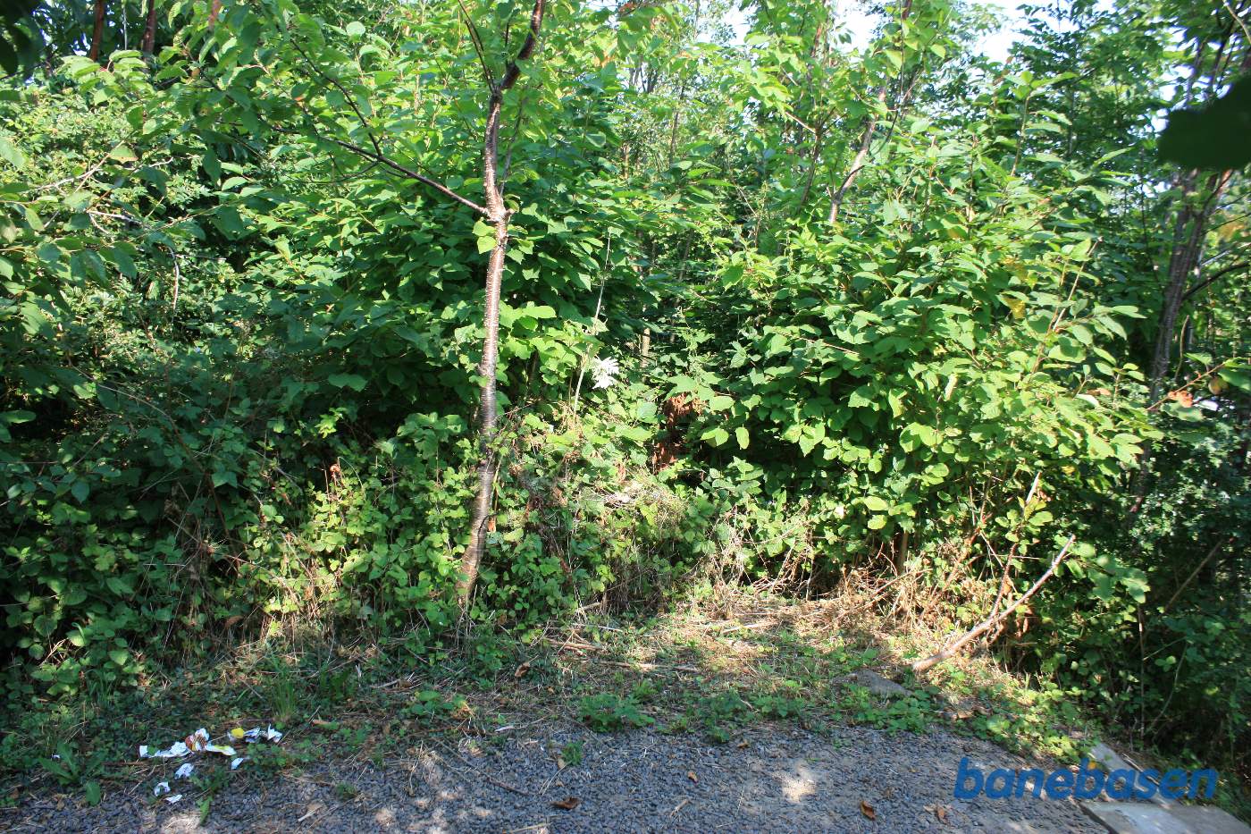 Vi står på banedæmningen og kigger mod Sandvig Vi står på banedæmningen og kigger mod Sandvig