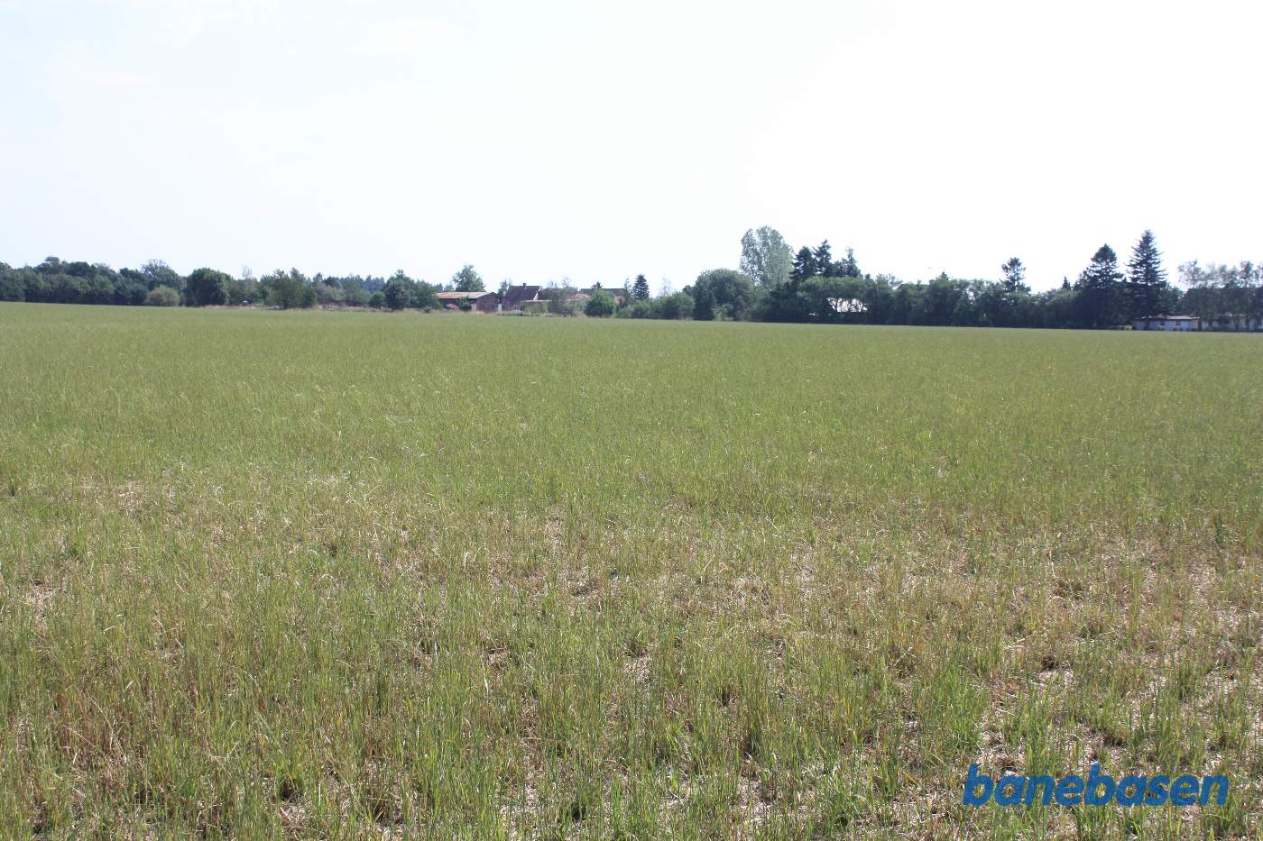 Vi står ude på marken og kigger ind mod Aakirkeby