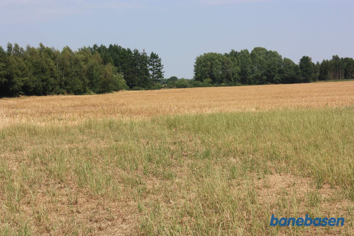 Vi står ude på marken og kigger ind mod Gudhjem. Banen gik igennem "hullet" mellem træerne