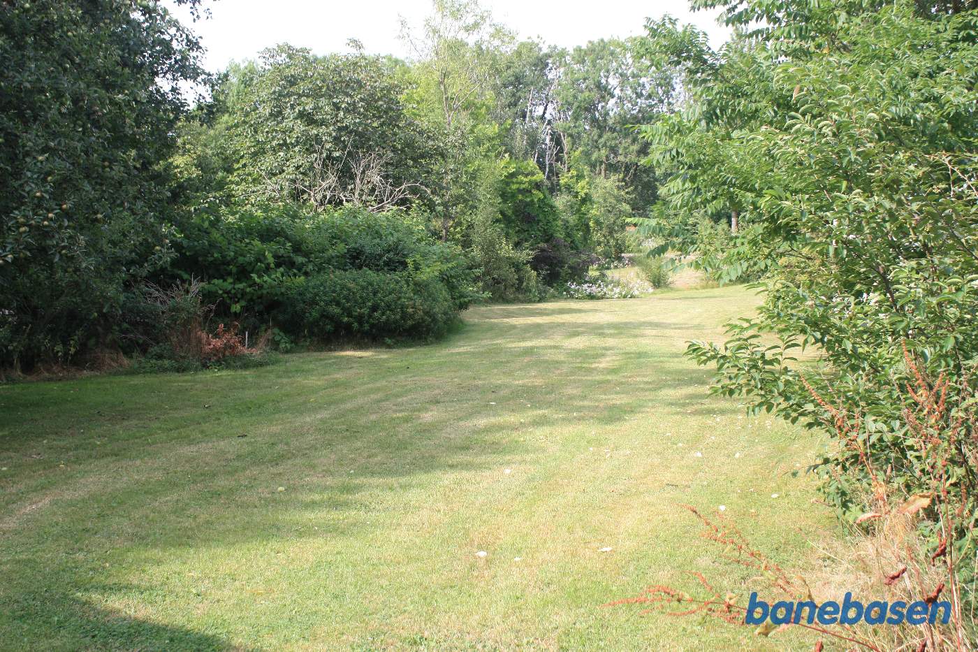 Vi står ude på marken og kigger ind i en privat have i retning mod Gudhjem