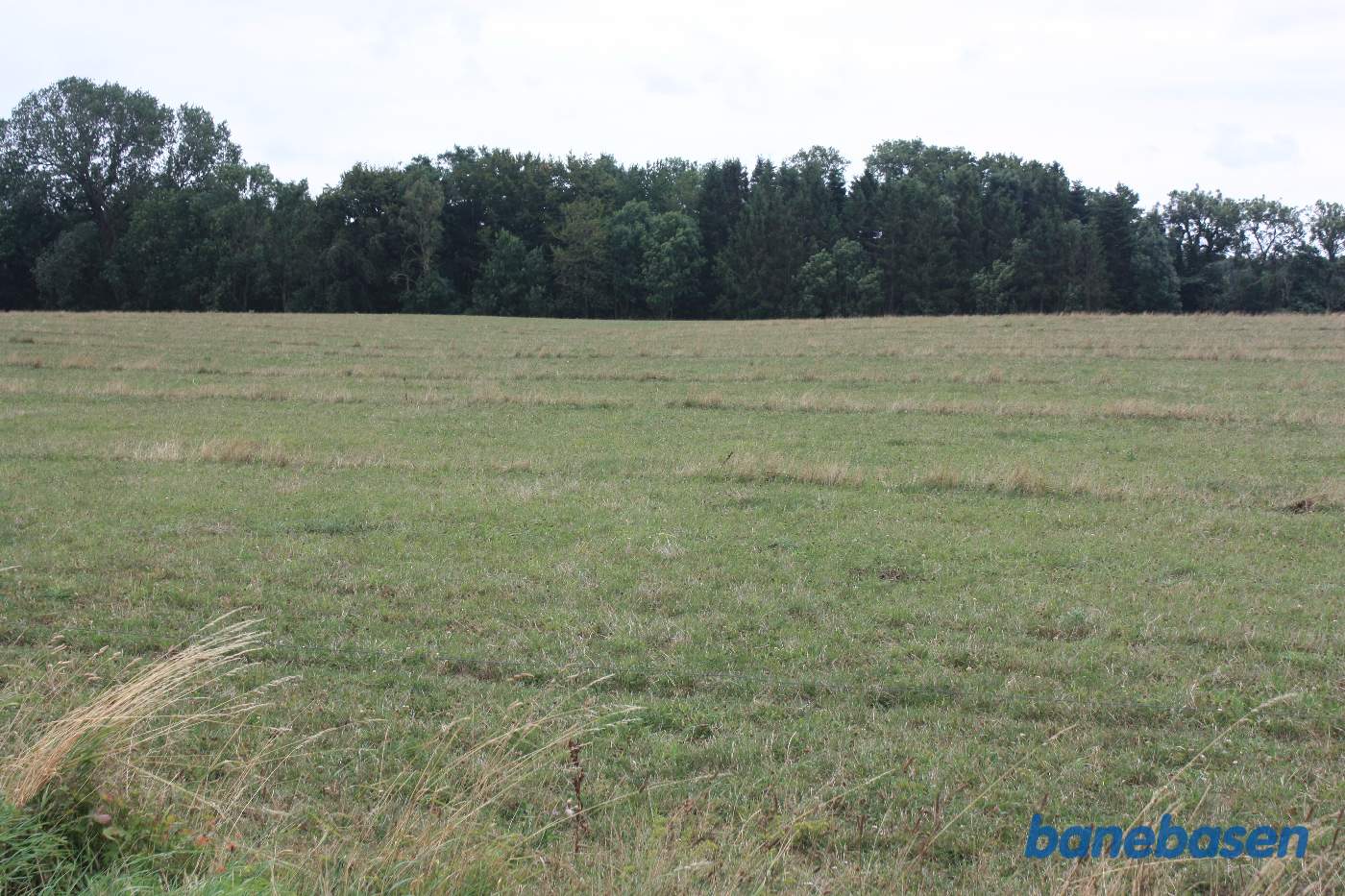 Vi står på Skørrebrovejen og kigger mod Aakirkeby. Læså løber inde mellem træerne. Banen gik lige midt i billedet Vi står på Skørrebrovejen og kigger mod Aakirkeby. Læså løber inde mellem træerne. Banen gik lige midt i billedet