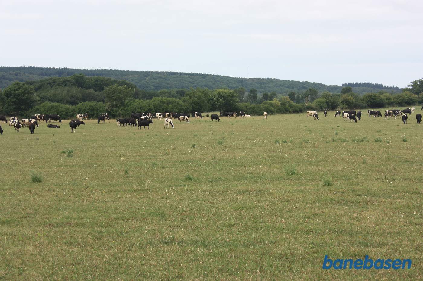 Vi står på Skørrebrovejen og kigger mod Gudhjem. Skørrebro trinbræt lå lige inde på marken. Banen gik lige midt i billedet Vi står på Skørrebrovejen og kigger mod Gudhjem. Skørrebro trinbræt lå lige inde på marken. Banen gik lige midt i billedet