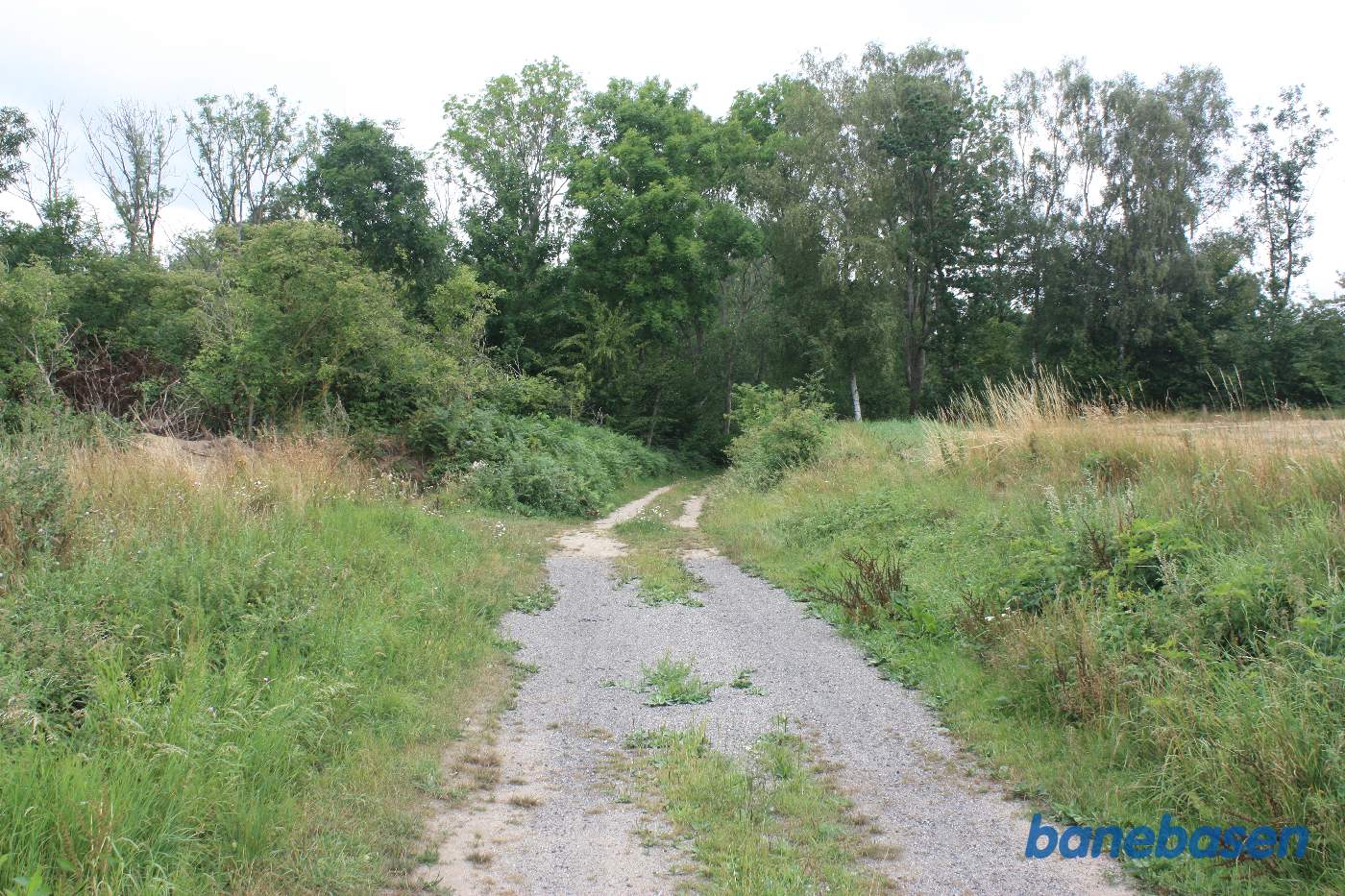 Vi står på den gamle banetracé og kigger mod Gudhjem