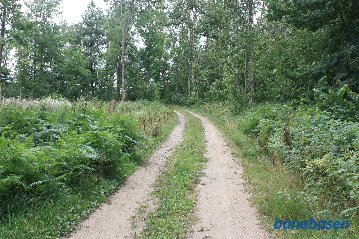 Vi står på den gamle banetracé og kigger mod Aakirkeby