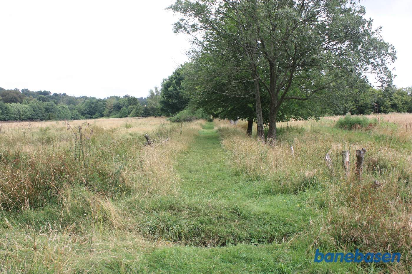 Vi står på den gamle banetracé og kigger mod Gudhjem
