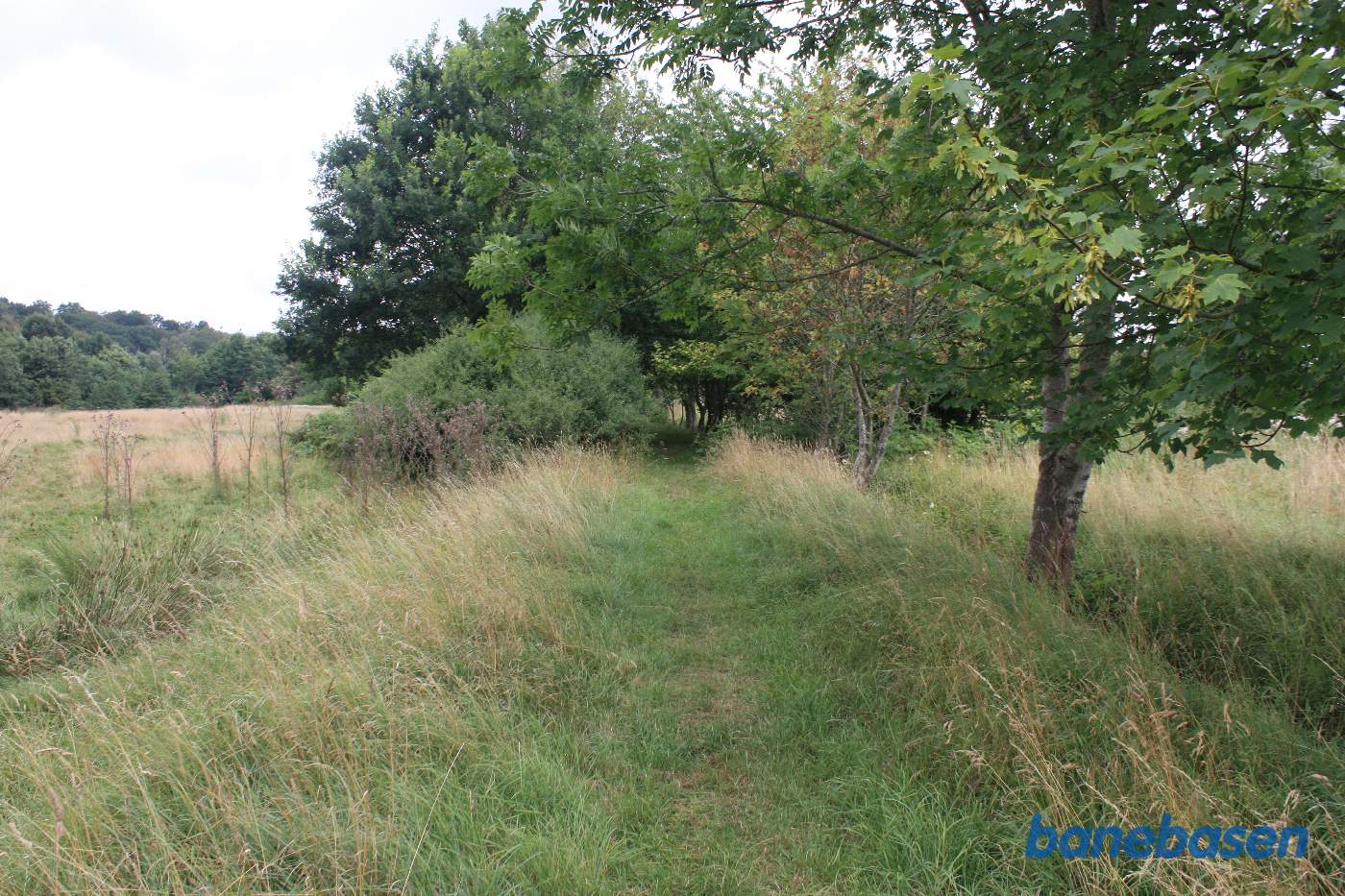 Vi står på den gamle banetracé og kigger mod Gudhjem Vi står på den gamle banetracé og kigger mod Gudhjem