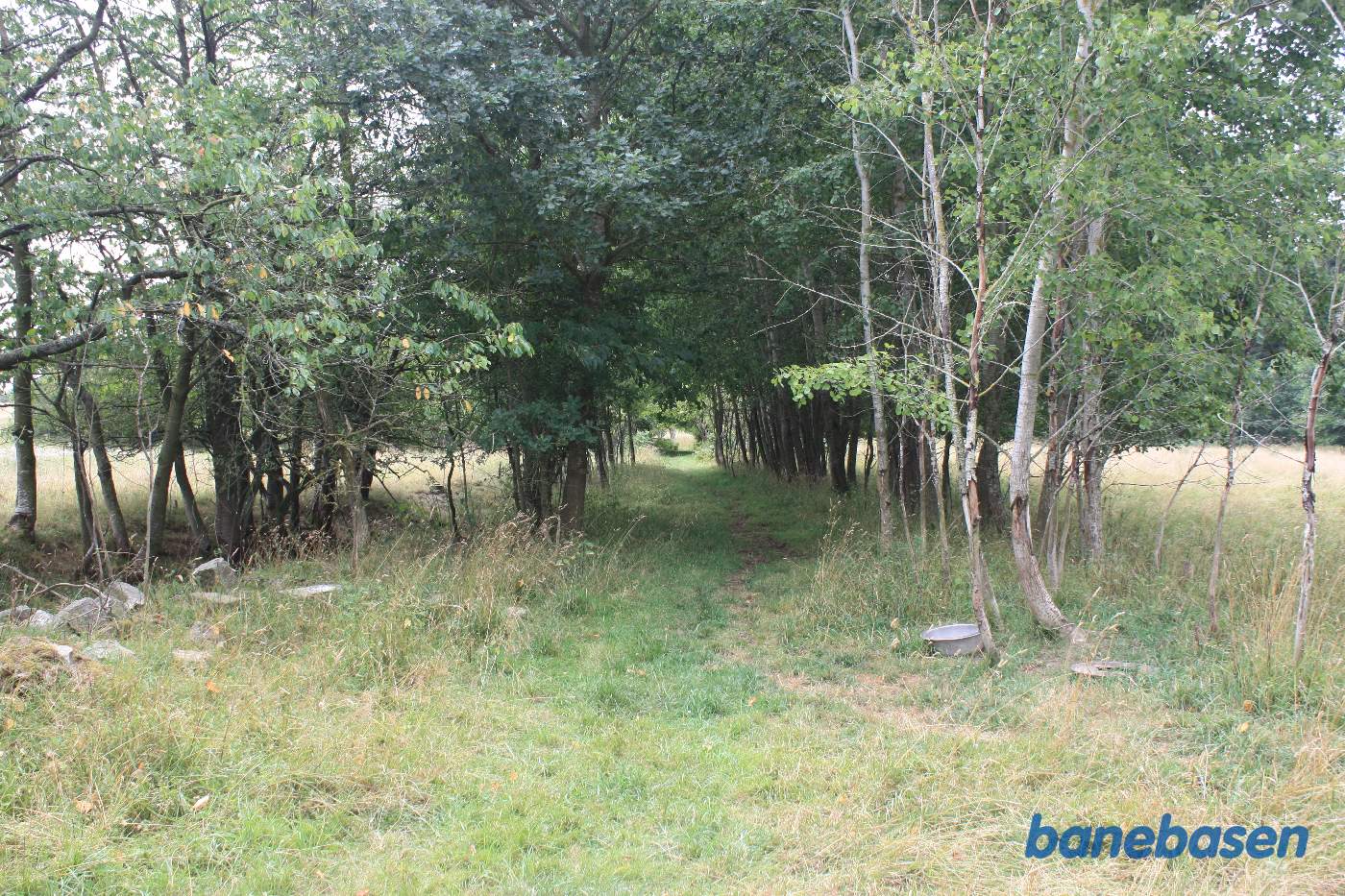 Vi står på den gamle banetracé og kigger mod Aakirkeby