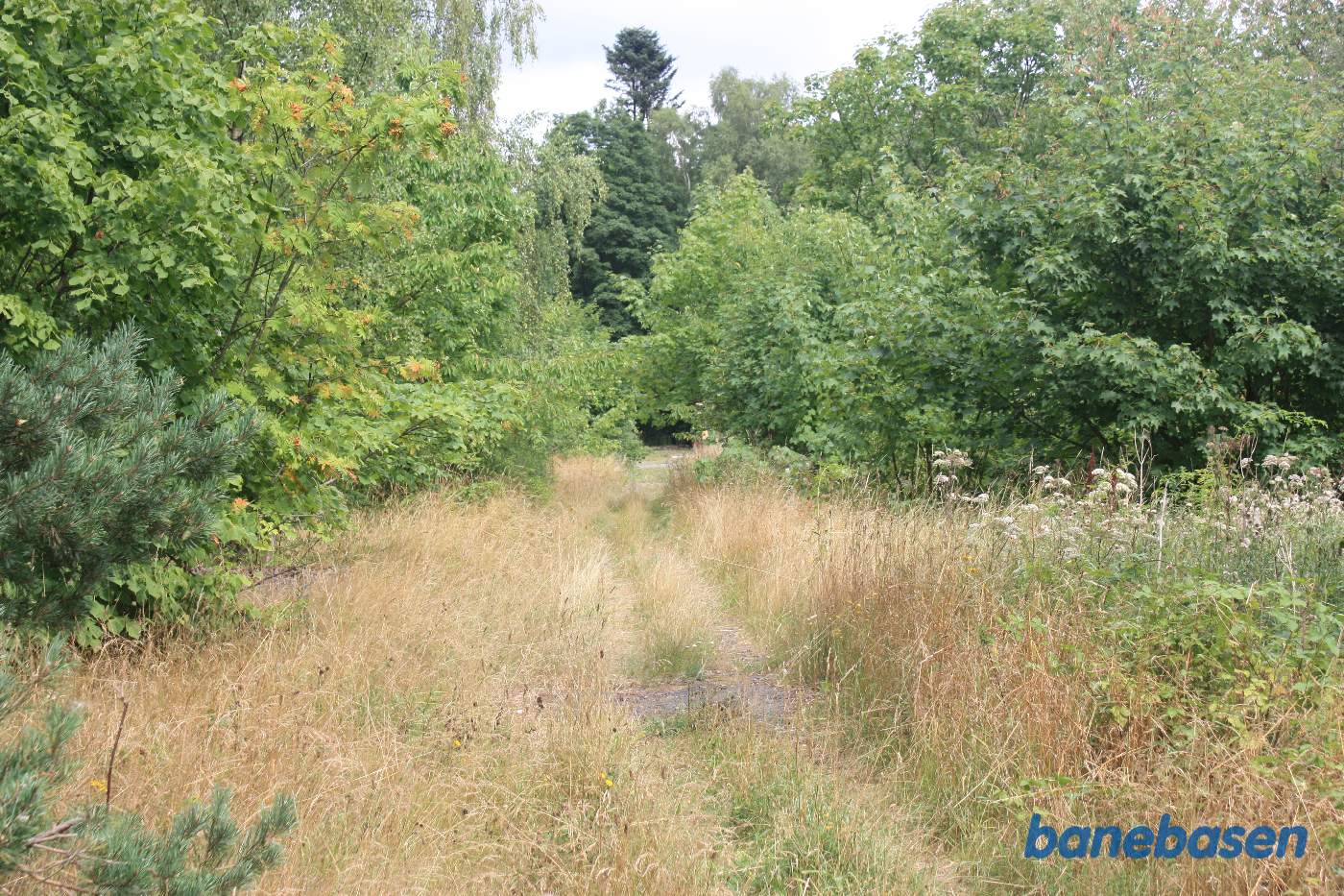 Vi står på gennemkørselssporet og kigger mod Aakirkeby Vi står på gennemkørselssporet og kigger mod Aakirkeby