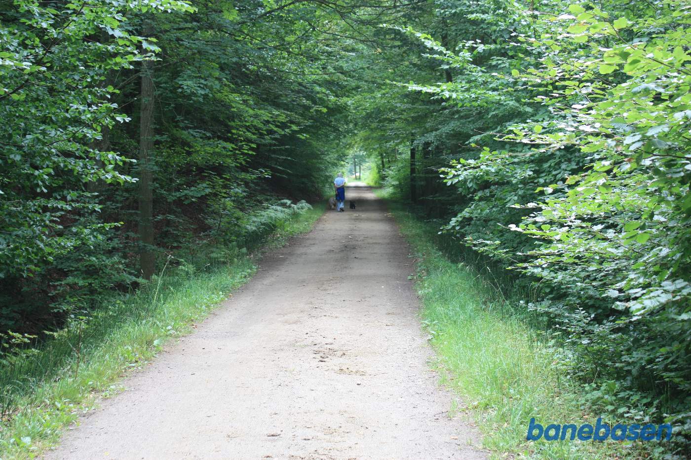 Vi står på banestien og kigger mod Aakirkeby Vi står på banestien og kigger mod Aakirkeby