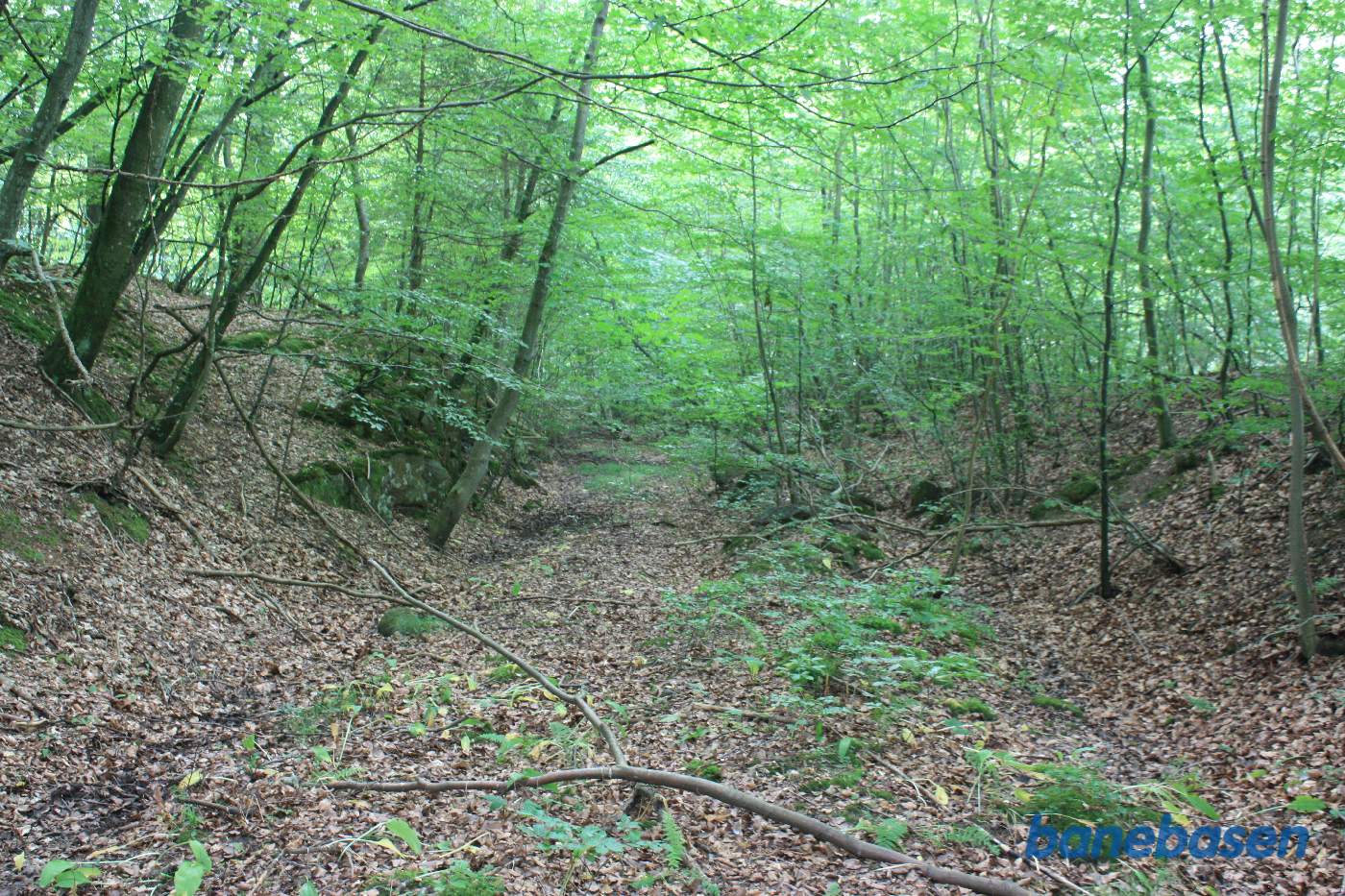 Vi står i udgravningen og kigger mod Aakirkeby. Skovvejen løber oppe til højre Vi står i udgravningen og kigger mod Aakirkeby. Skovvejen løber oppe til højre