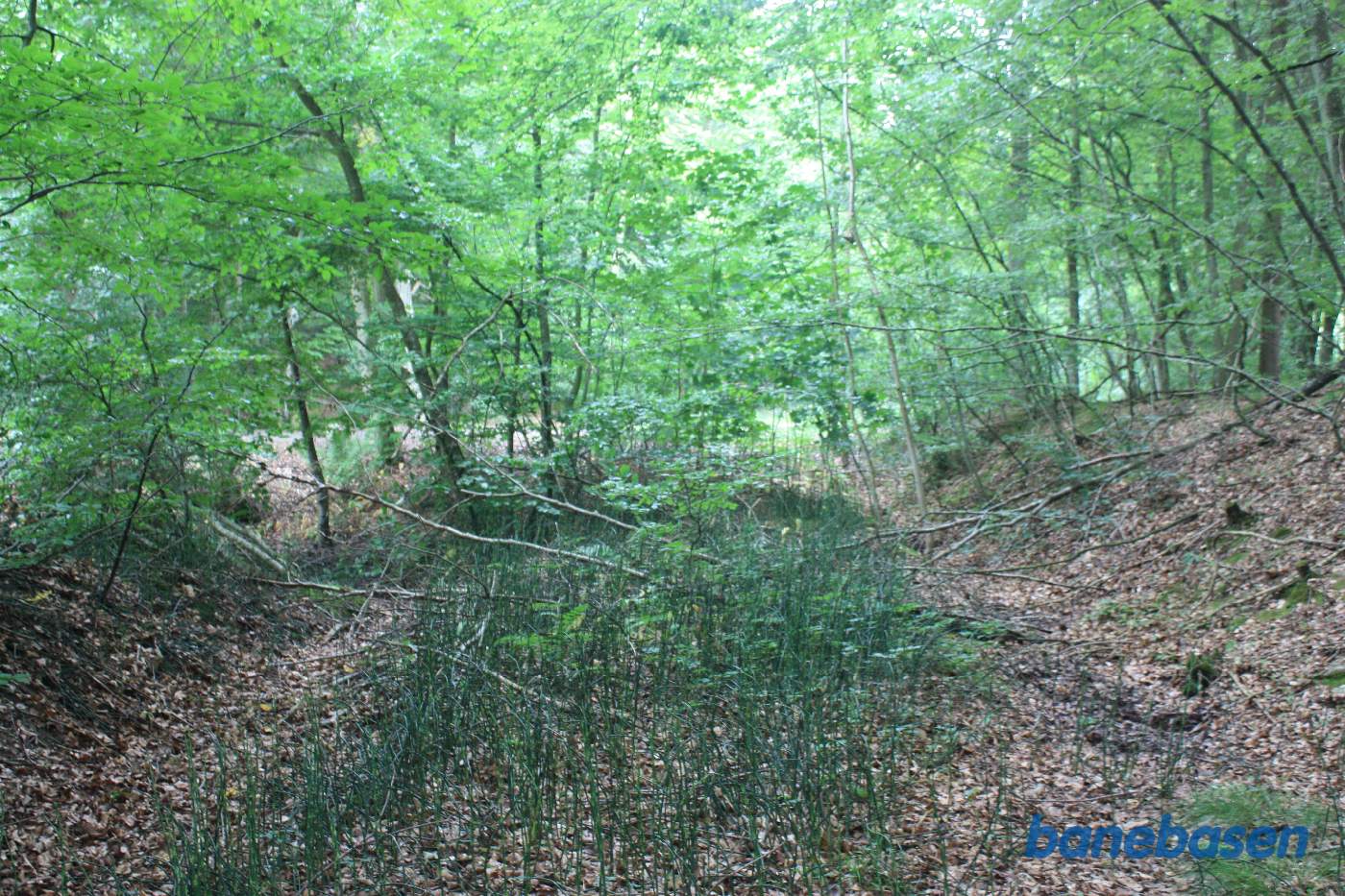 Vi står i udgravningen og kigger mod Gudhjem. Skovvejen løber oppe til venstre