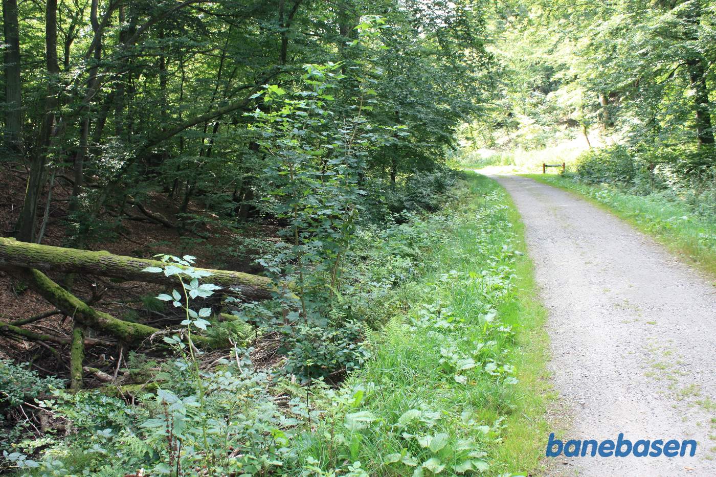 Vi står på banestien og kigger ind i den store bløde kurve til venstre i retning mod Aakirkeby Vi står på banestien og kigger ind i den store bløde kurve til venstre i retning mod Aakirkeby