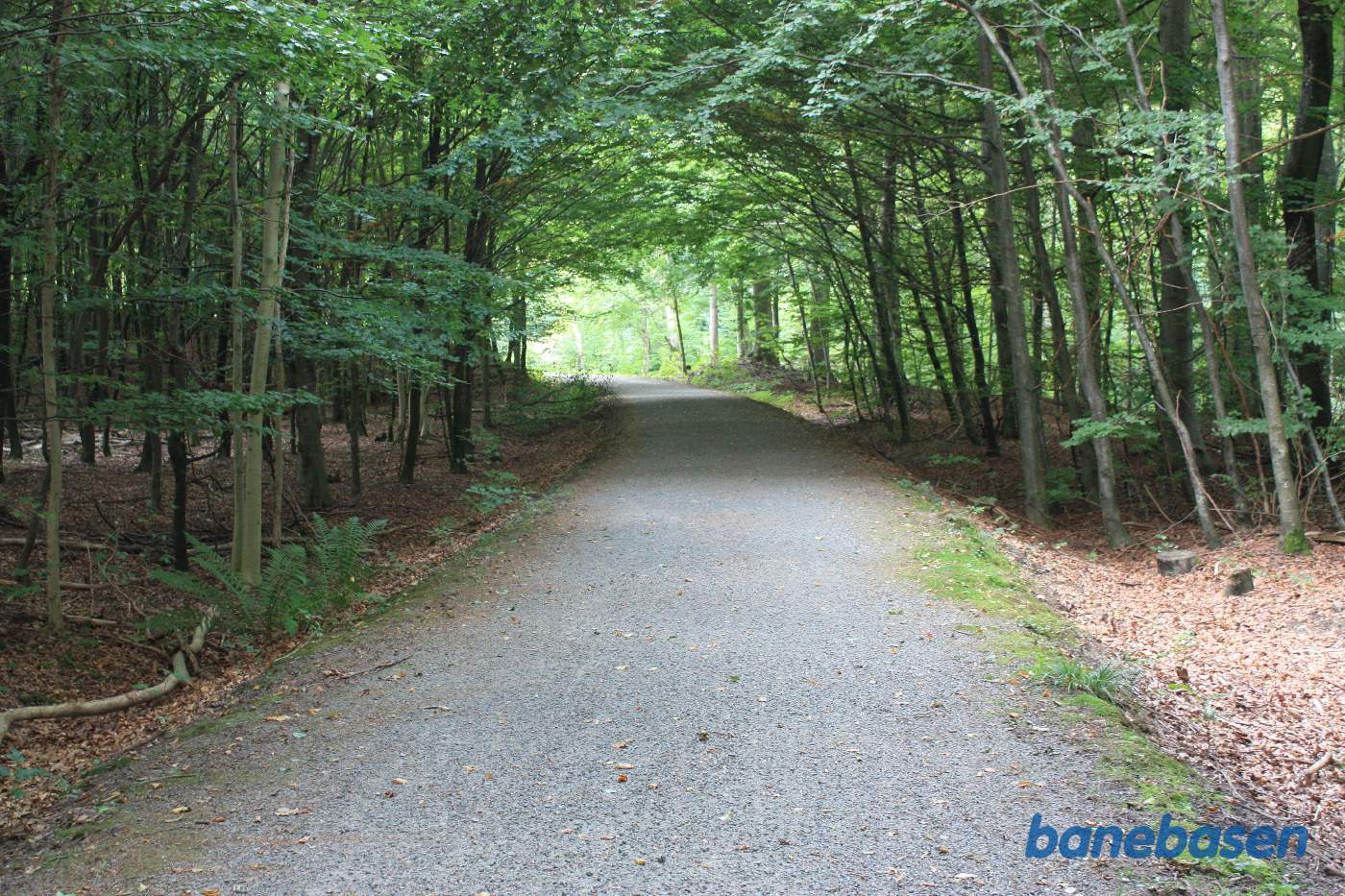 Vi står på banestien og kigger ind i den store bløde kurve til venstre i retning mod Aakirkeby