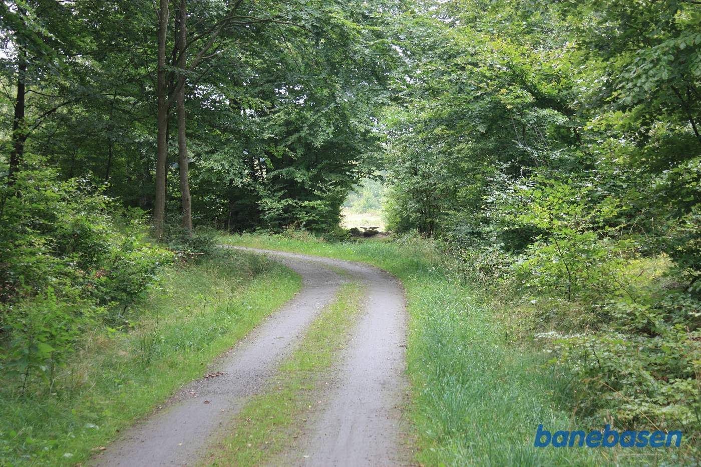 Vi er på banestien og kigger mod Aakirkeby. Banen gik igennem hullet i bevoksningen