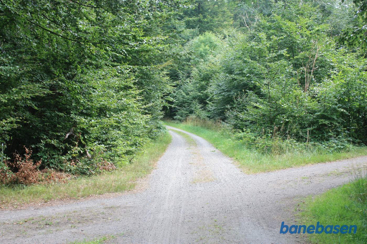 Vi er på banestien. Banen gik i skoven i en meget stor blød venstrekurve Vi er på banestien. Banen gik i skoven i en meget stor blød venstrekurve