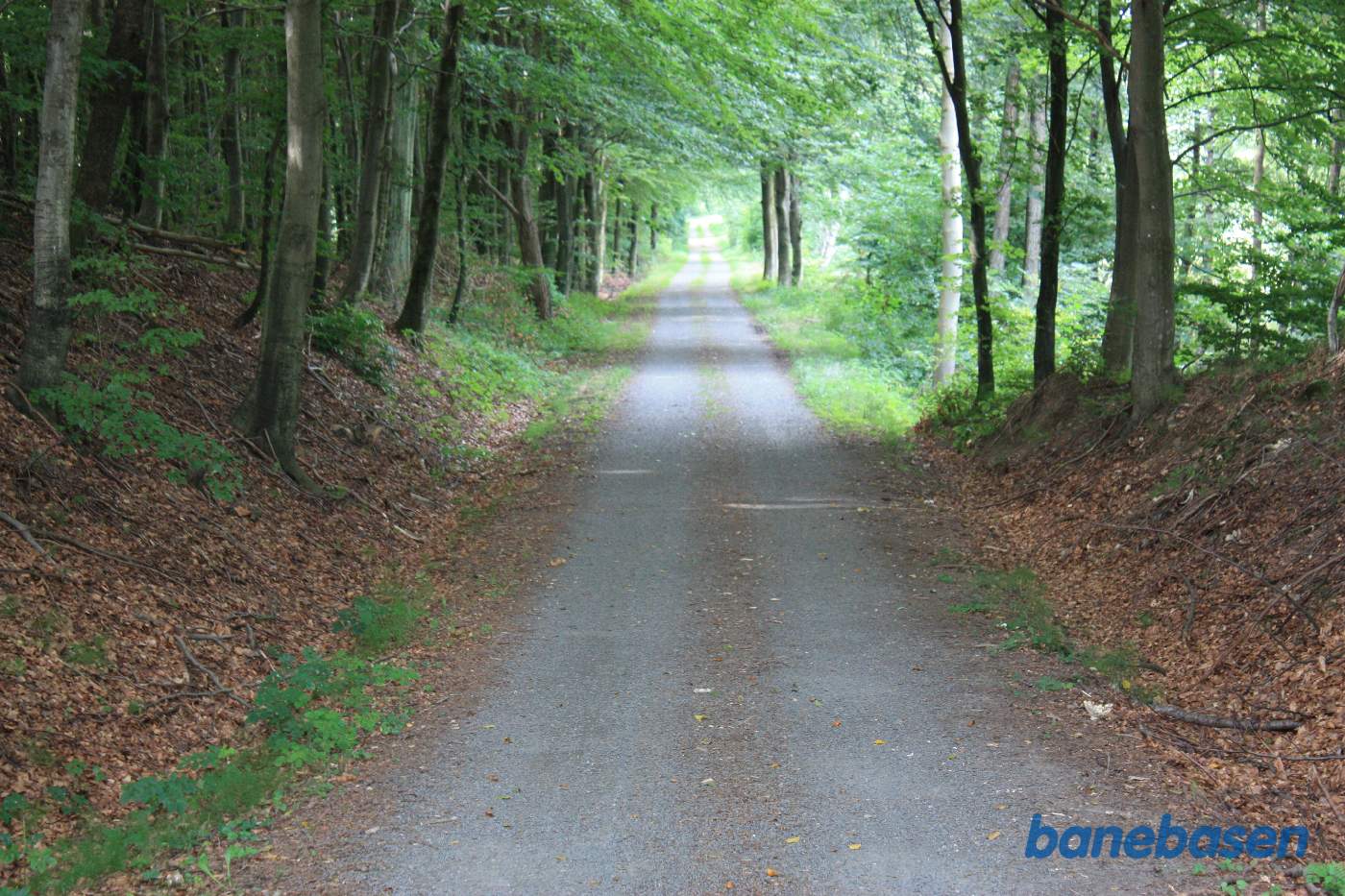 Vi er på banestien og kigger mod Aakirkeby. Banen gik her i en lige linje