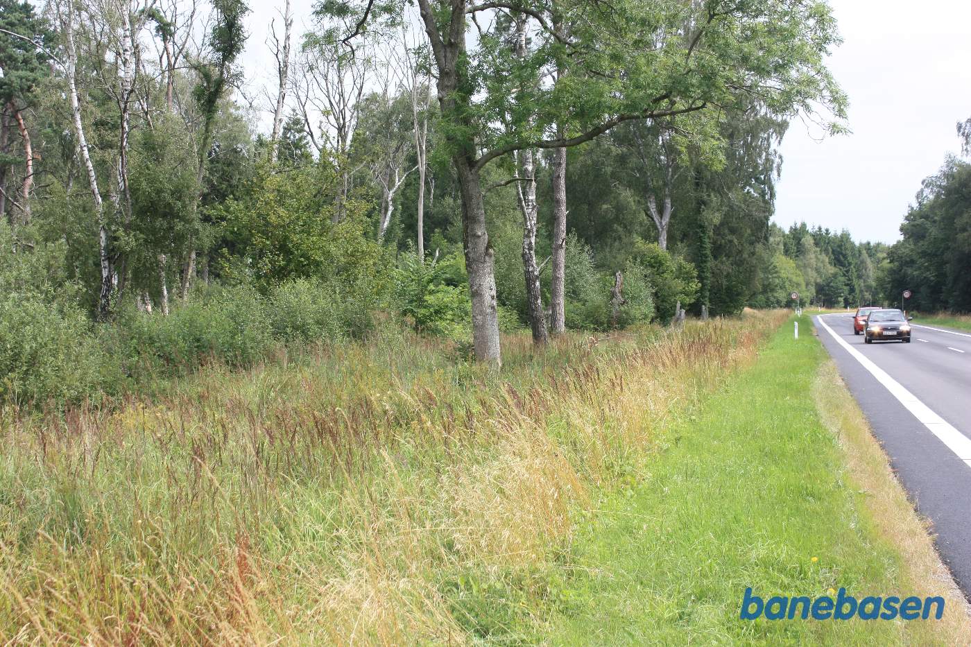 Her krydsede banen Segenvej. Vi kigger ind i skoven, hvor tracéen er helt overgroet, i retning mod Gudhjem