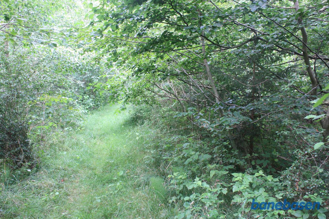 Vi står på banens tracé ved kanten af Iglemosen og kigger mod Aakirkeby. Et naturgenopretningsprojekt, har totalt fjernet banens tracé lidt længere fremme Vi står på banens tracé ved kanten af Iglemosen og kigger mod Aakirkeby. Et naturgenopretningsprojekt, har totalt fjernet banens tracé lidt længere fremme
