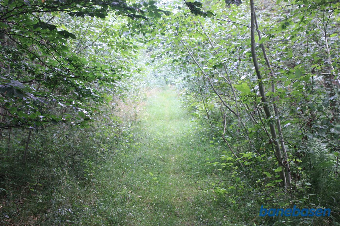 Vi står på banens tracé ved kanten af Iglemosen og kigger mod Gudhjem Vi står på banens tracé ved kanten af Iglemosen og kigger mod Gudhjem