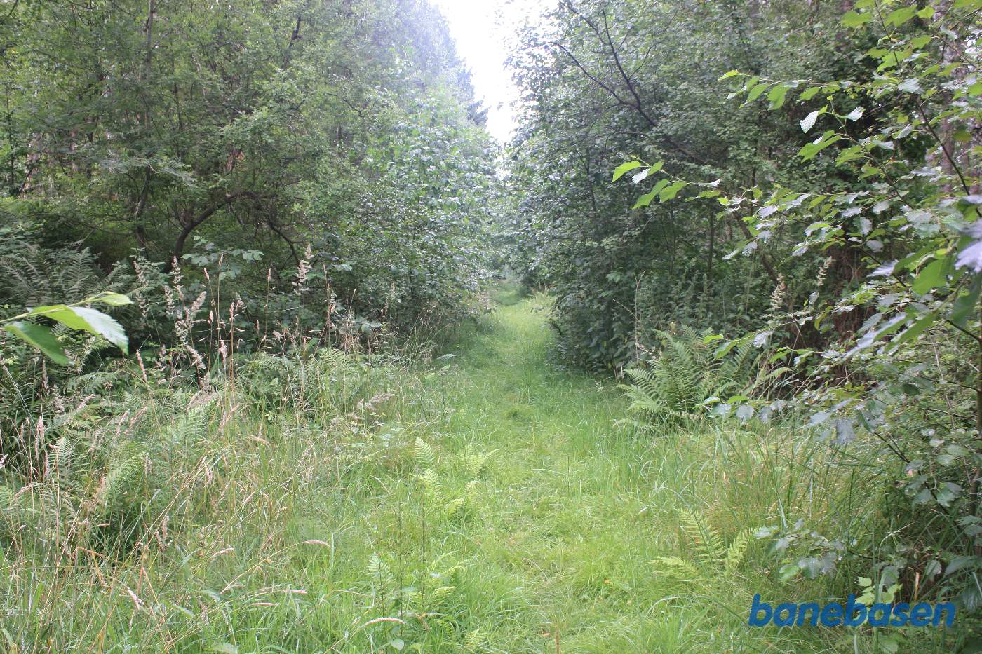 Vi står på banens tracé, midt inde i skoven, og kigger mod Aakirkeby Vi står på banens tracé, midt inde i skoven, og kigger mod Aakirkeby