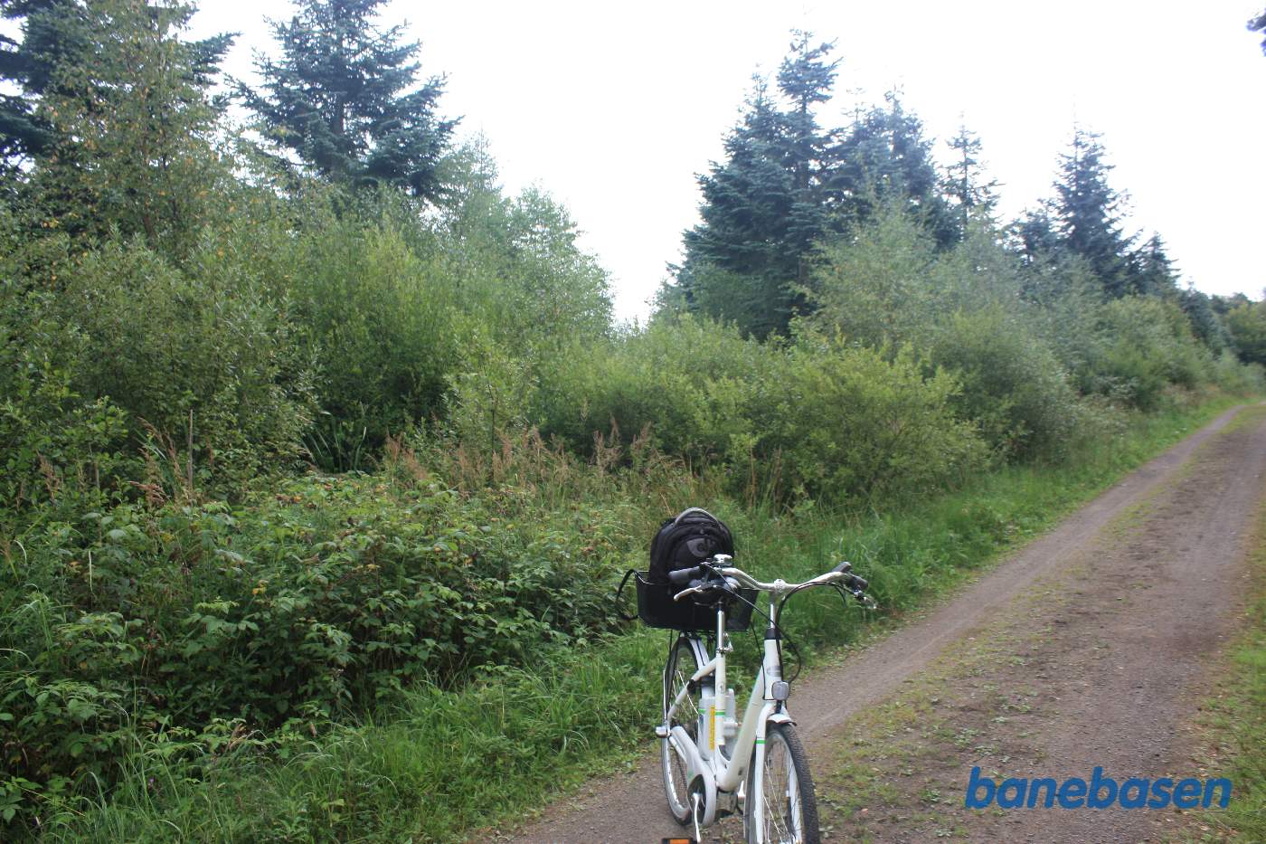 Vi står på en skovvej og kigger mod Gudhjem, banens tracé ses tydeligt og kan ikke følges
