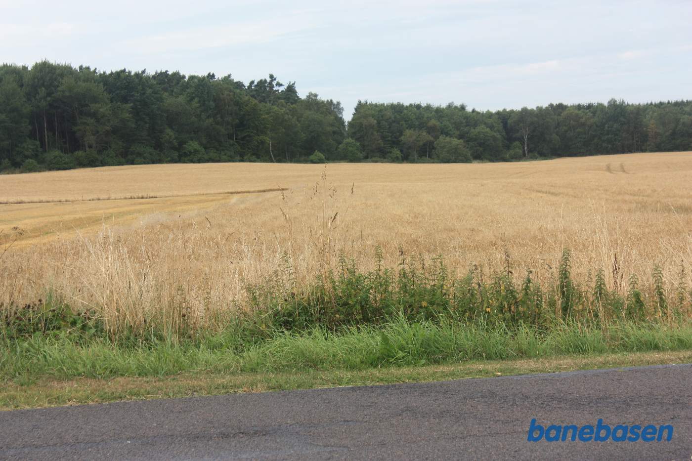 Vi står på Aaløsevej og kigger mod Aakirkeby. Banen gik i en lige linje midt i billedet, ind i skoven Vi står på Aaløsevej og kigger mod Aakirkeby. Banen gik i en lige linje midt i billedet, ind i skoven