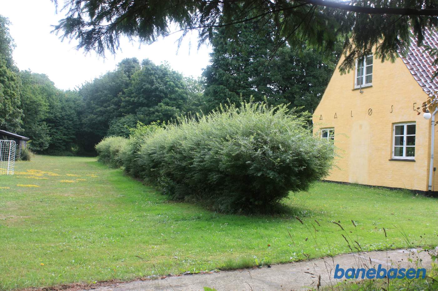 Vi står på banens tracé og kigger på perronen og sporet i retning mod Gudhjem