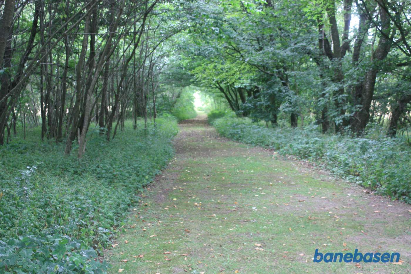 Vi står på banens tracé og kigger mod Gudhjem