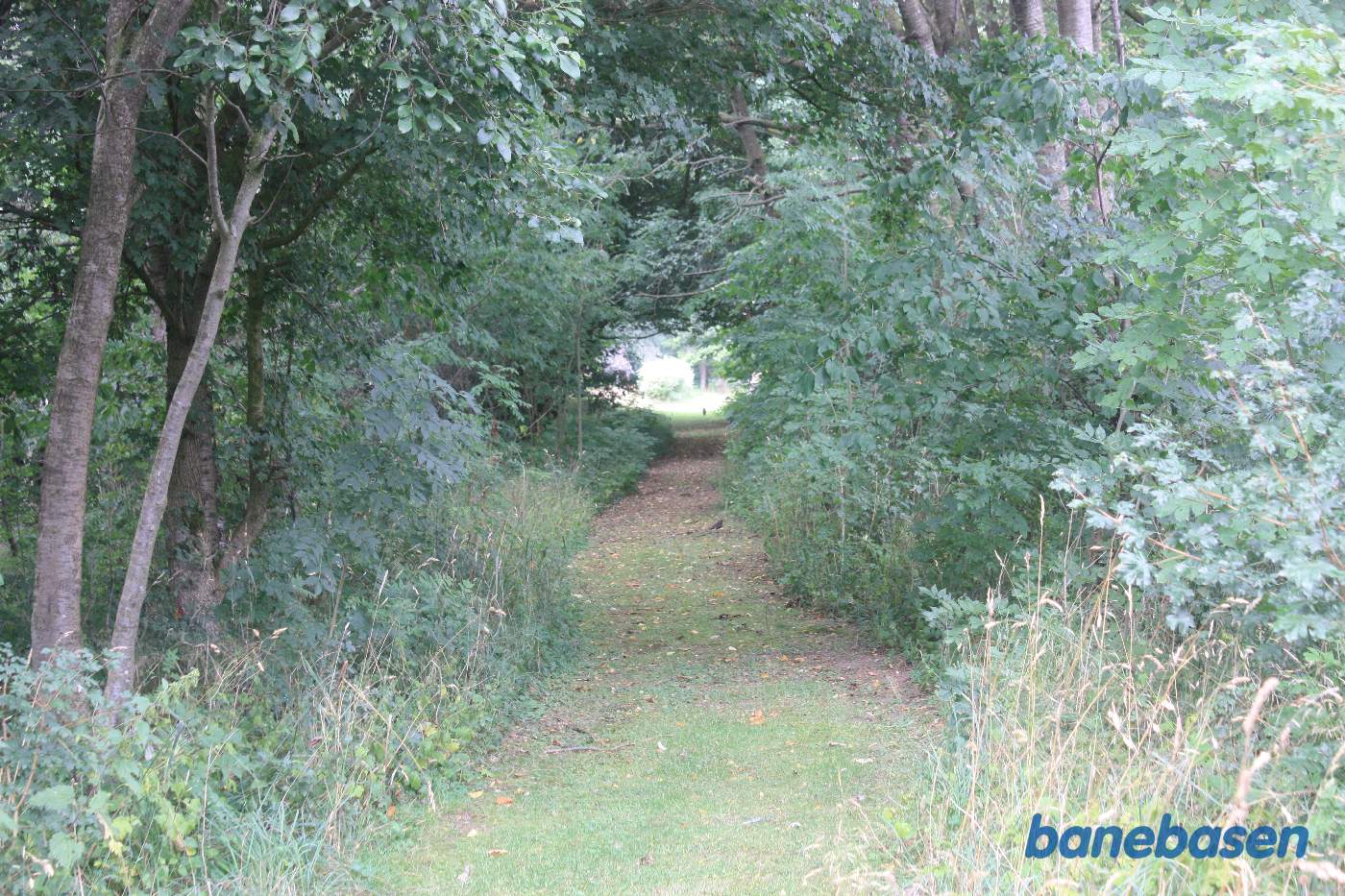 Vi står på banens tracé og kigger mod Aakirkeby, ind i haven til stationen